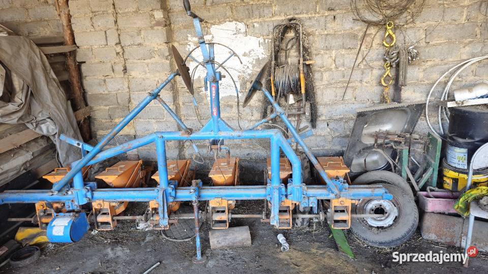Sprzedam siewnik do buraków siewnik do kukurydzy nieuszkodzony Siewniki i sadzarki Lasocice