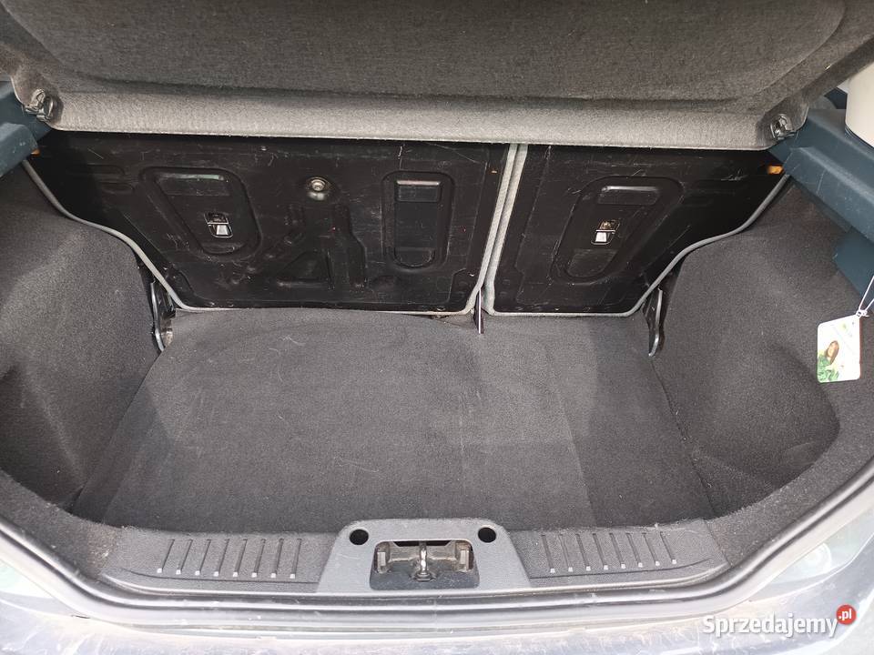 Ford Fiesta kujawsko-pomorskie Radziejów