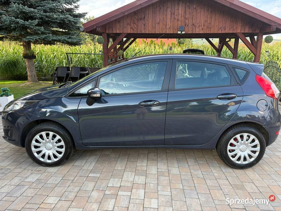Ford Fiesta Sułkowice