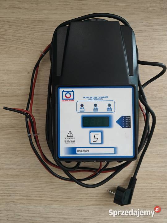 Prostownik Ładowarka 12v 24v 36v 48v Melex Ezgo Łańcut