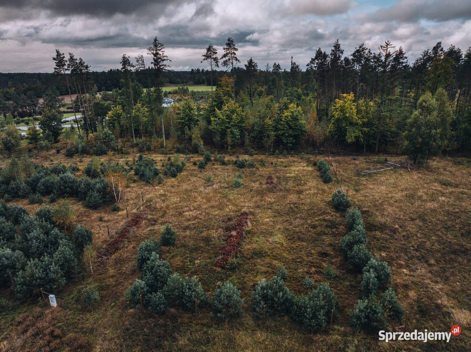 Sulęczyno I Kaszuby I spraw sobie zakup przed 47m