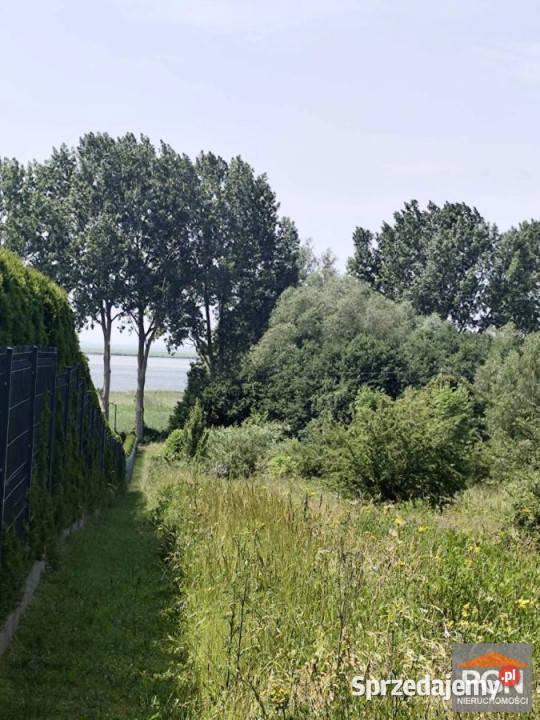 Sprzedaż gruntu Zagórze 6302 metry sprzedam