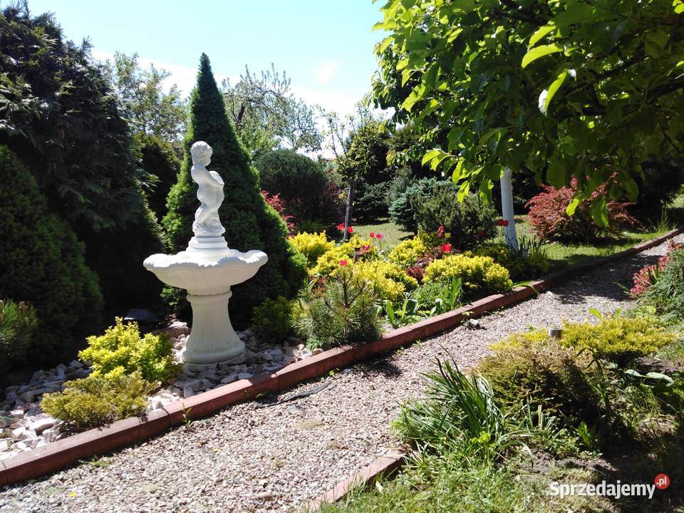 SPRZEDAM DZIAŁKĘ OGRODOWĄ ROD OLECKO