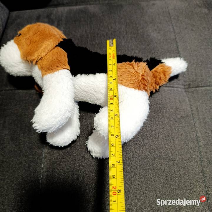 piesek maskotka pluszak kolejny wielkopolskie Poznań