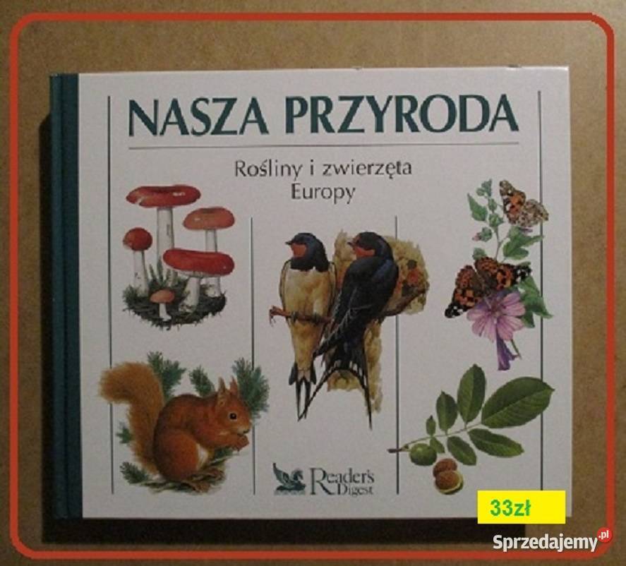 Grzyby leśne grzyby grzybiarstwo runo leśnelas Łódź