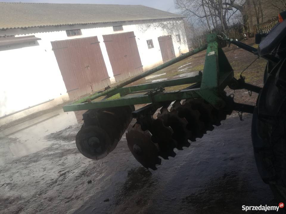 Talerzówka łódzkie