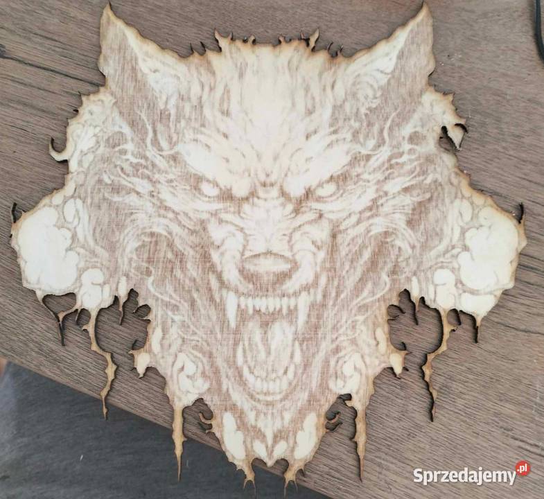 wsciekly wilk grawer na sklejce 23 Nowy Targ