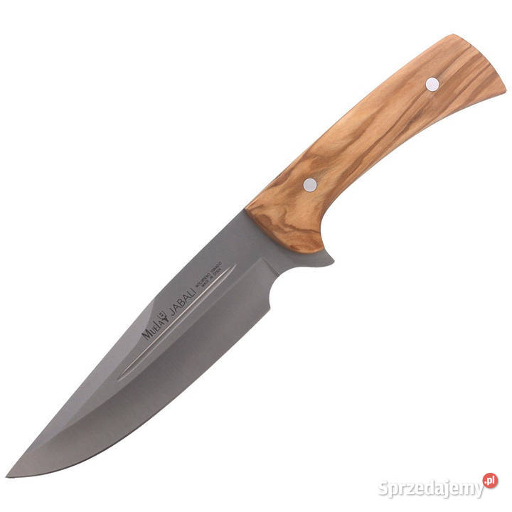 Nóż Muela Full Tang Olive Wood Satin X50CrMoV15 Warszawa