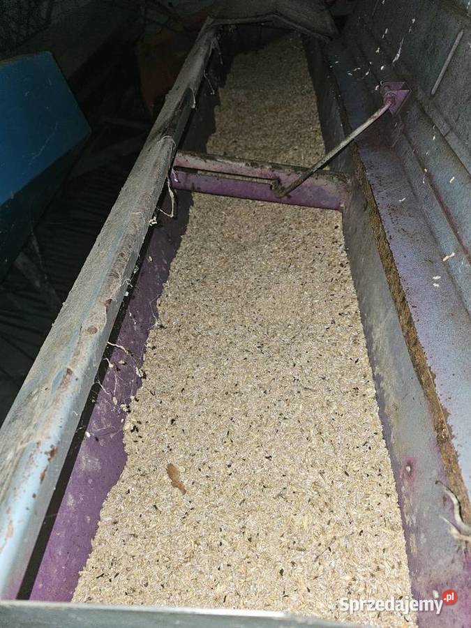 Siewnik poznaniak 27m nieuszkodzony Siewniki i sadzarki mazowieckie Lipsko