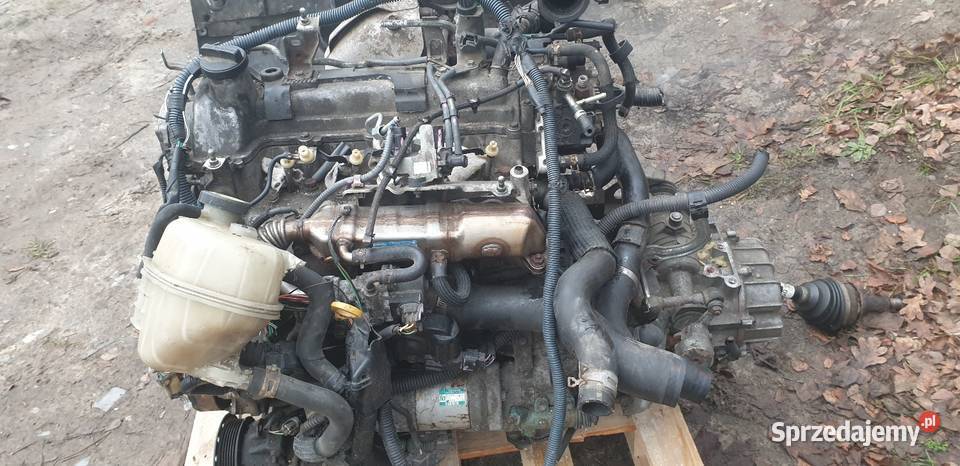 Toyota Yaris II silnik sprawny 14d4d osobowe lubelskie Kraśnik