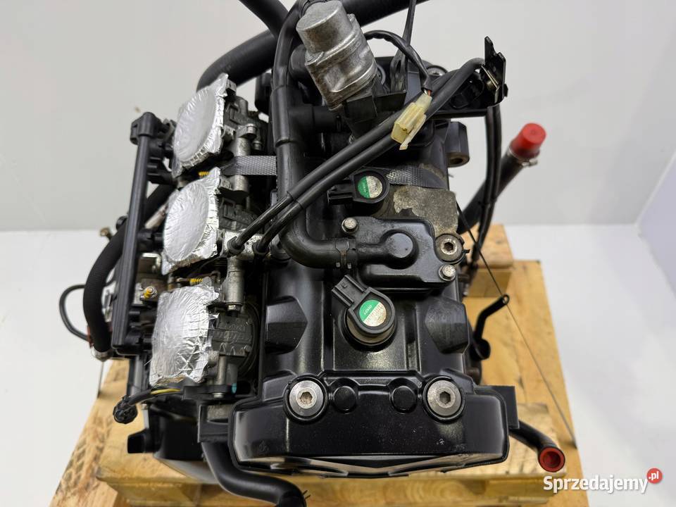 SILNIK Triumph Daytona 675 Street Triple Motor Rudka