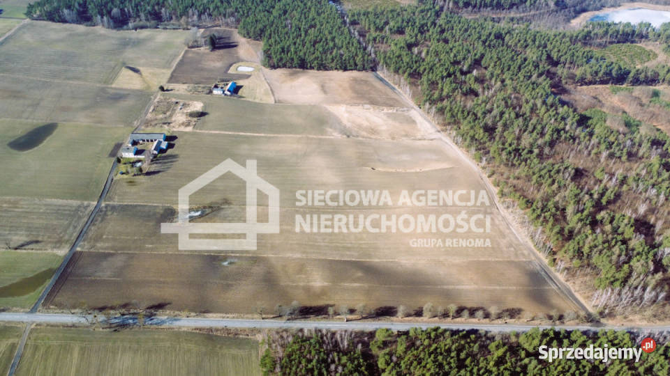 Grunt Lipinki Królewskie 24300m2 18zł/m2 pomorskie