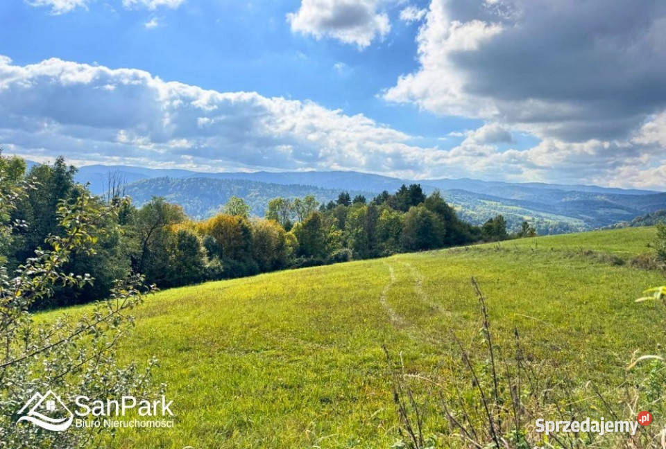 Grunt 3900m2 Wołkowyja