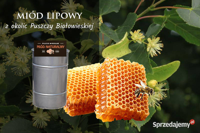 Miód lipowy hurt miodu z Puszczy Białowieskiej Kojły