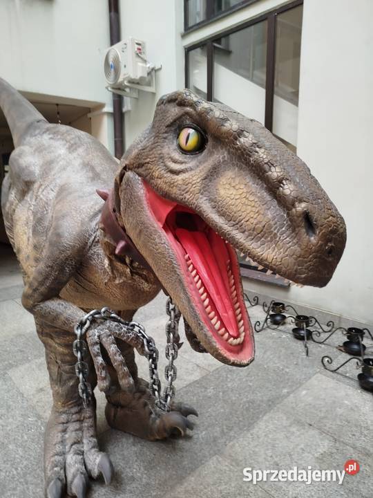 Dinozaur Raptor strzelnica