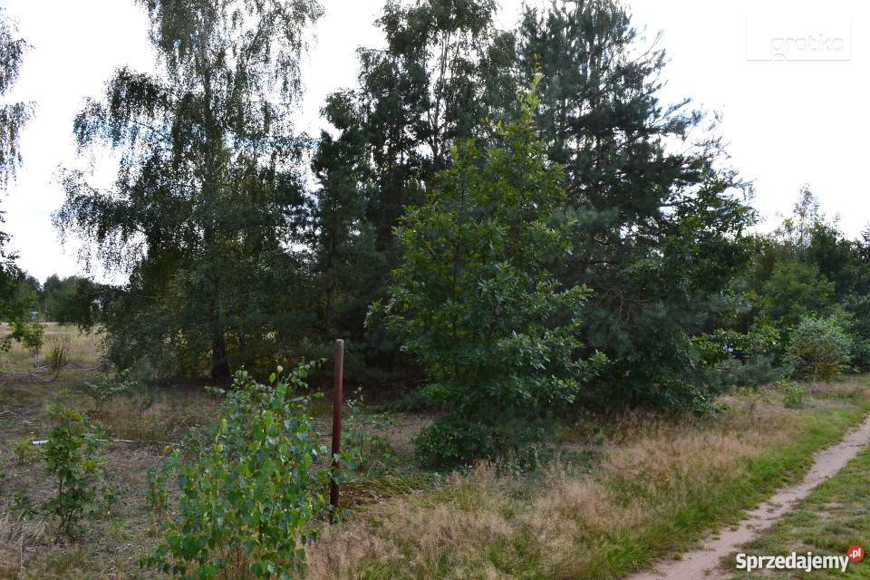 Tanie działki budowlane Ślężany gm Dąbrówka Grunty i działki mazowieckie Ślężany