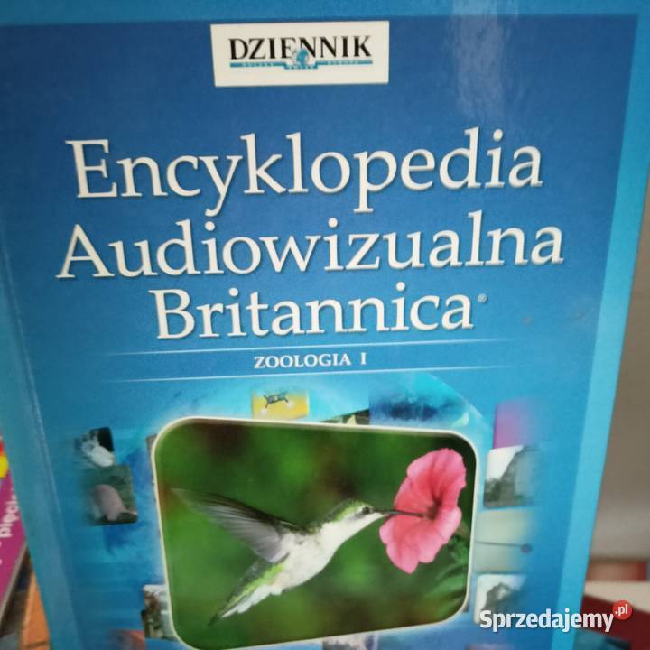 Encyklopedia w książki wyprzedaż kondratowicza Warszawa