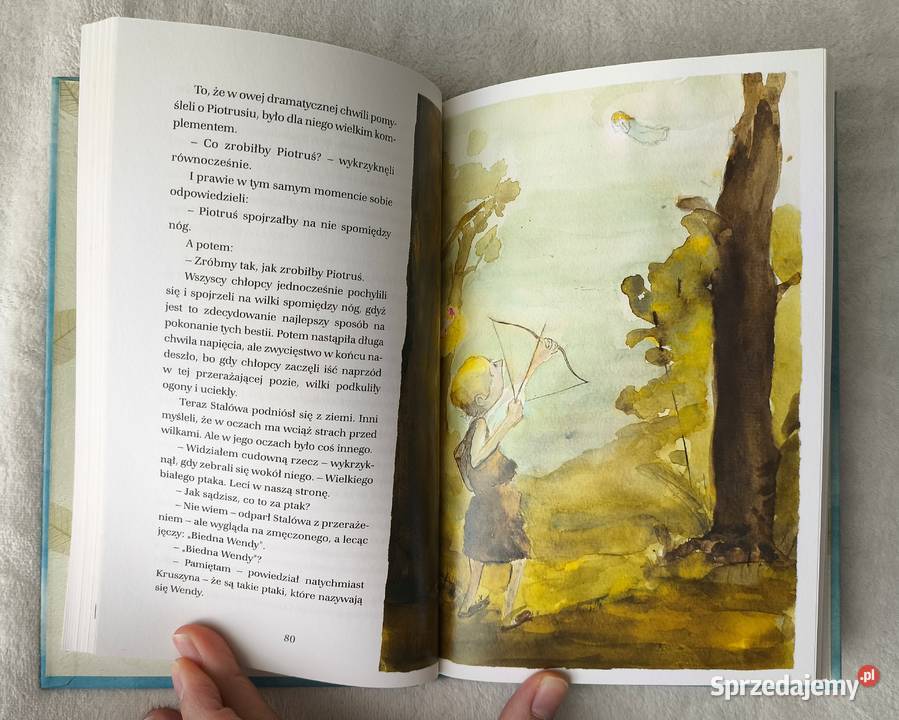 Zestaw książek dzieci i młodzieży Radom