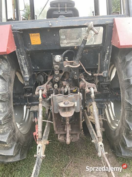 Case 4210 Gołąb sprzedam