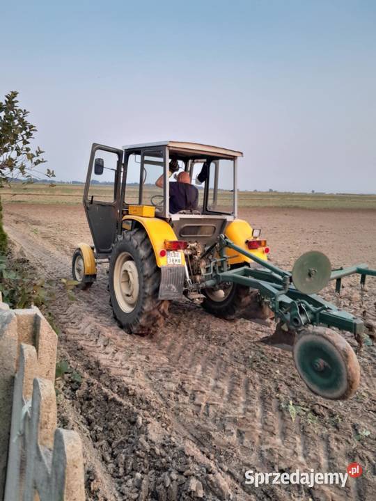 Pług Grudziądz nieuszkodzony sprzedam
