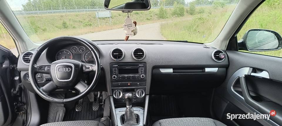 Audi a3 8p 19TDI 2008 FL 3D Niesułków-Kolonia