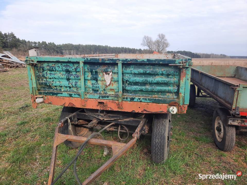 Sprzedam przyczepę sztywna 880286461 Głogów sprzedam