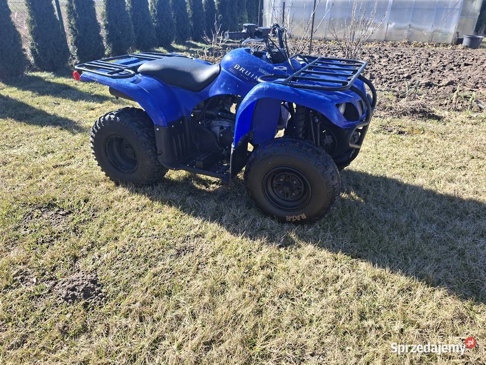 Yamaha bruin grozili 250 quad - ATV