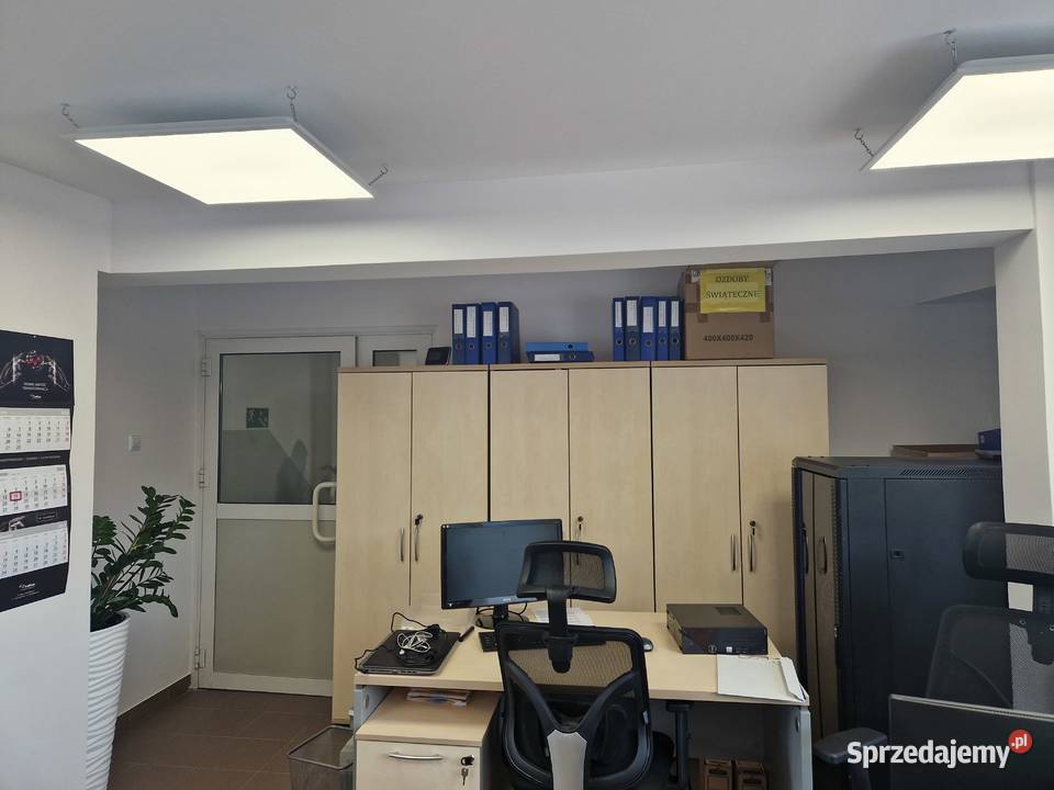 Hala 241 m w Redzie Pieleszewo Wynajem Reda sprzedam