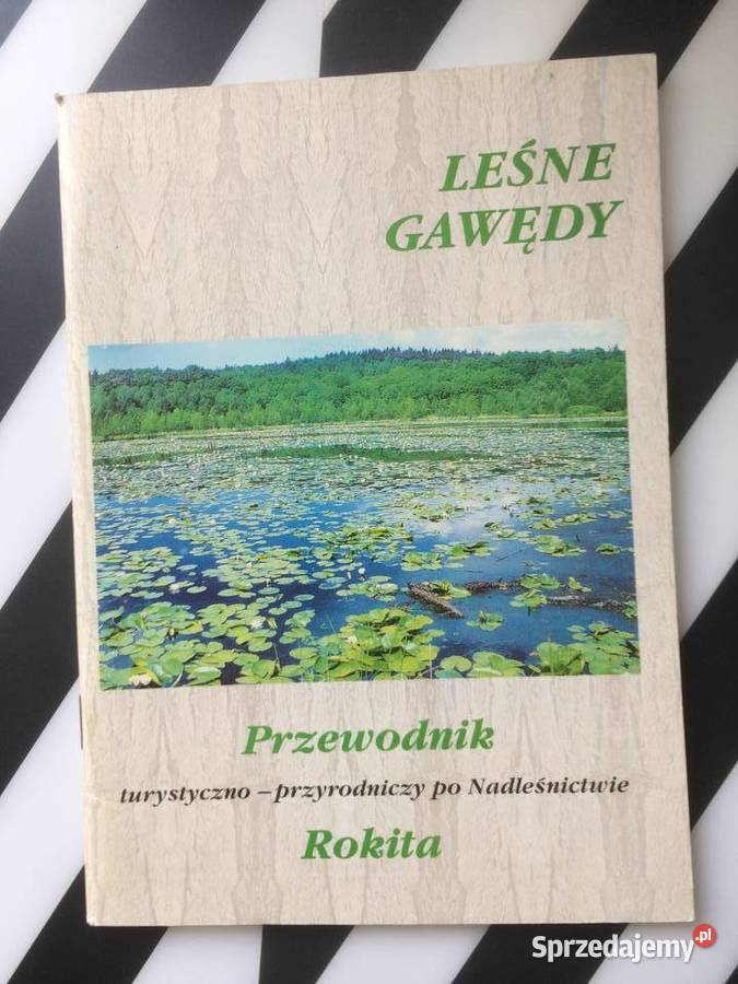 3647 Leśne Legendy Nadleśnictwo Rokita Szczecin zachodniopomorskie