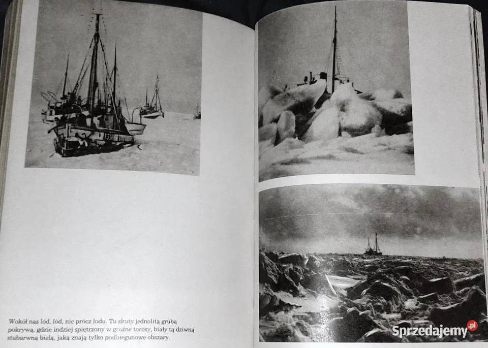 Czy foka jest biała Czesław Centkiewicz lubelskie