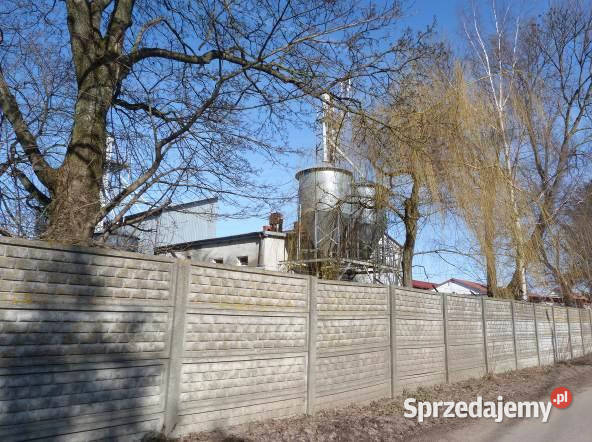 Syndyk sprzeda udział 38 w prawie własności Pielgrzymowo sprzedam