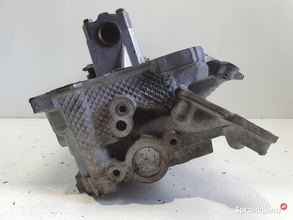 Jeep Grand Cherokee WJ 47 V8 LEWA GŁOWICA Rudka