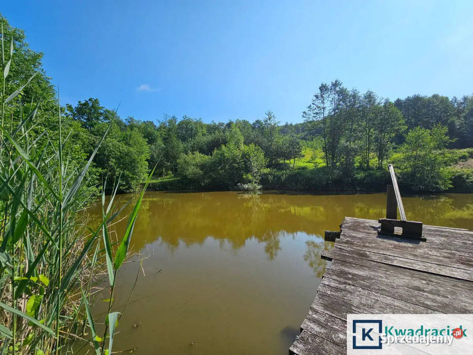 Działka Pietrusza Wola 19200m2