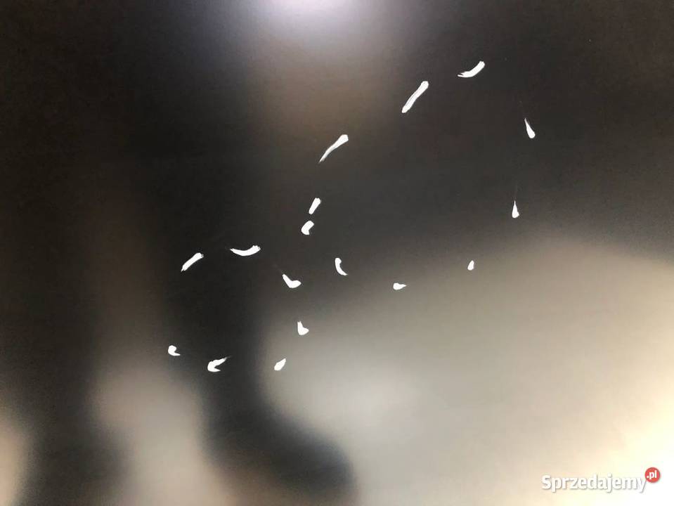 HONDA CRV RE III 112009122012 LIFT MASKA POKRYWA Pozostałe świętokrzyskie Skarżysko-Kamienna