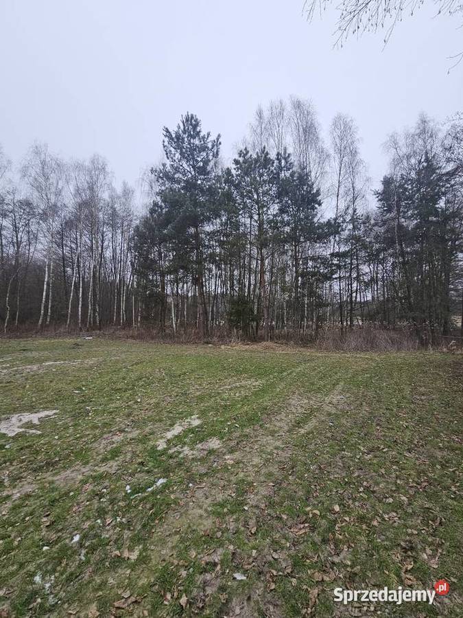 Działki budowlane i rolne Dolina Baryczy dolnośląskie Łazy Wielkie