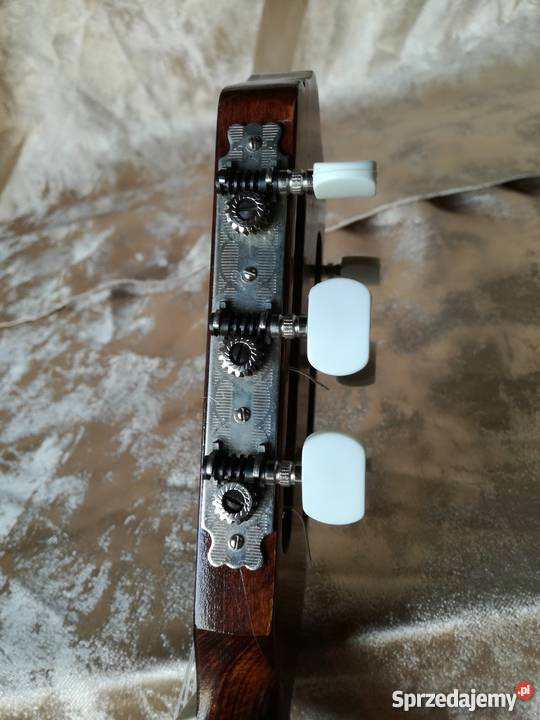 Gitara cremona zachodniopomorskie Stargard