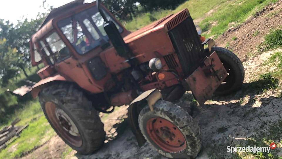MTZ 80 z Niemiec sprawny Lwówek Śląski sprzedam