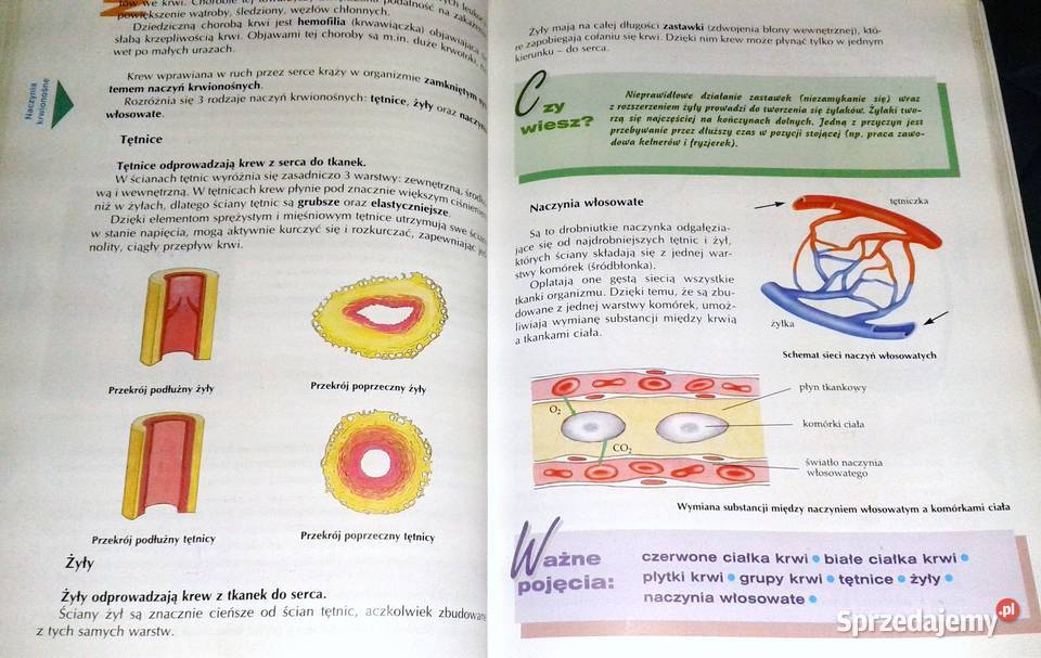 Biologia gimnazjum Cz 2 W Gołda M Kłyś J Wardas miękka Chełm