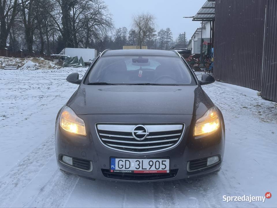 Opel Insignia 20cdti 130koni wielkopolskie Poznań