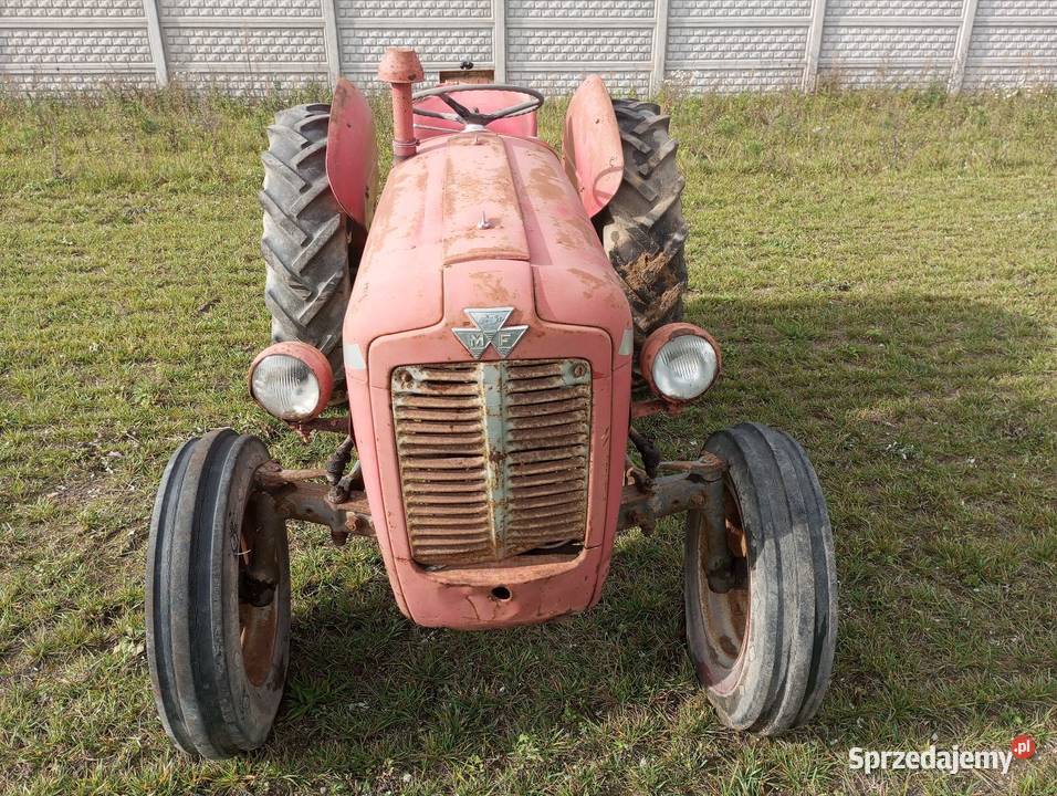 Ciągnik Massey Ferguson Buk