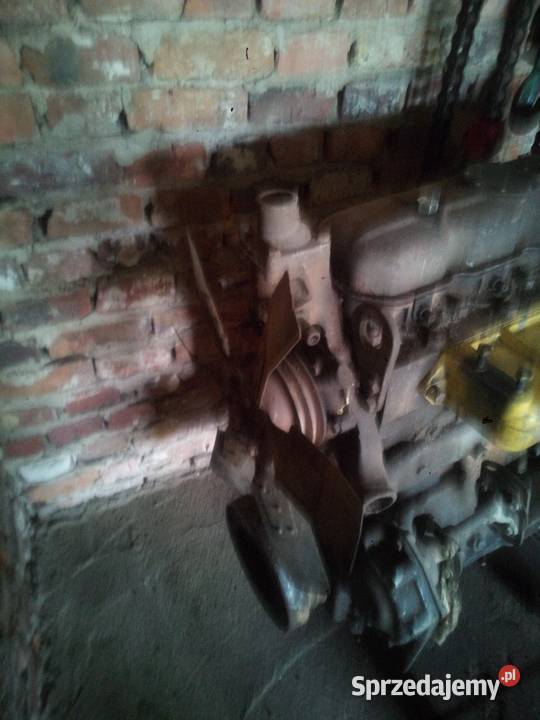 Sprzedam silnik lejtnanta bizon Kamieńskie Młyny
