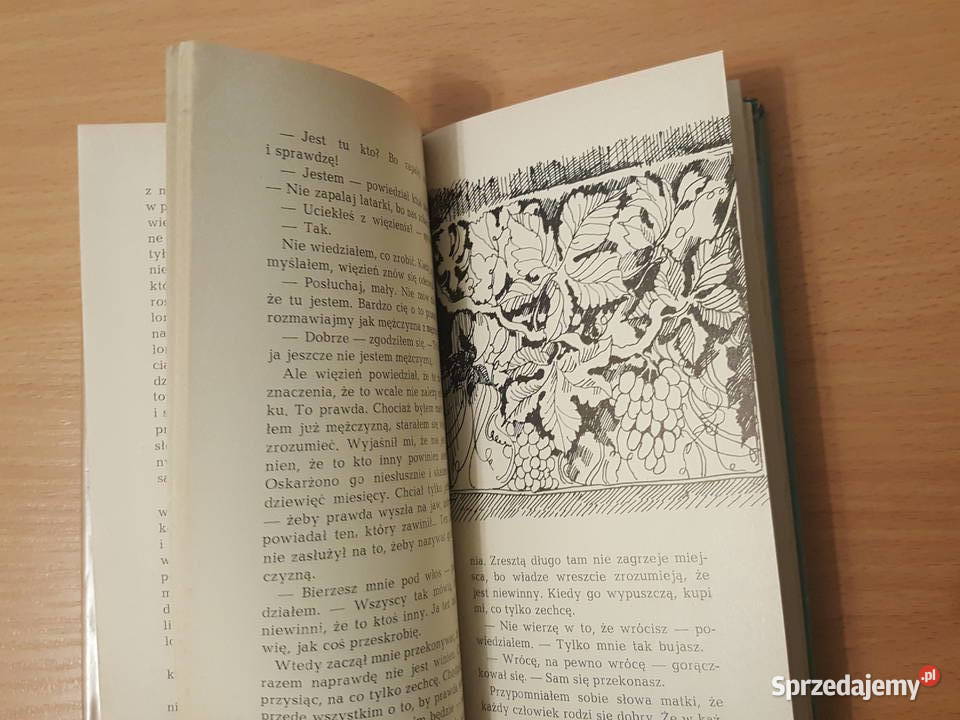 KSIĄŻKA Marzenie długie na pół metra młodzieży literatura piękna - proza zagraniczna