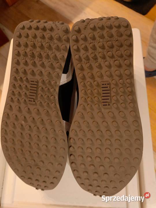 Pumy damskie dolnośląskie Wrocław