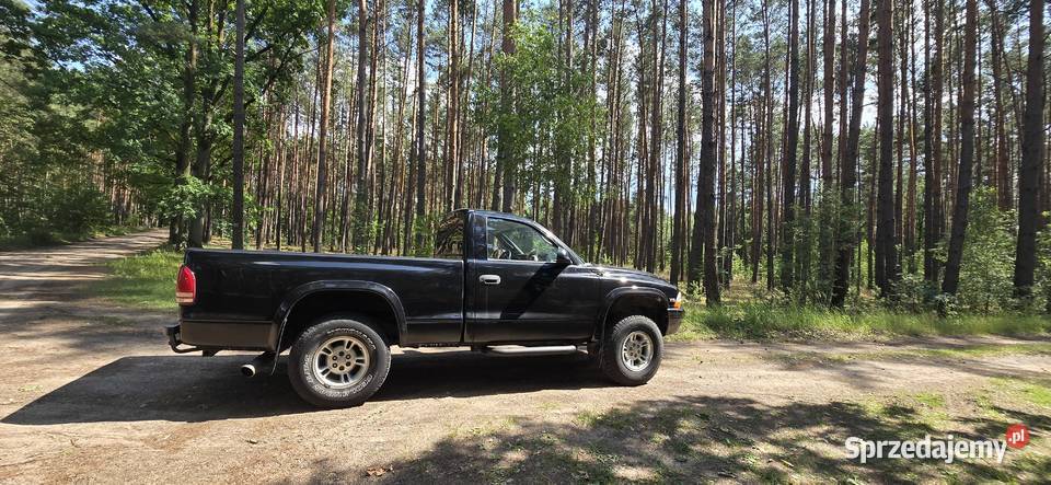 Dodge Dakota Automat 36 Magnum V6 200 koni