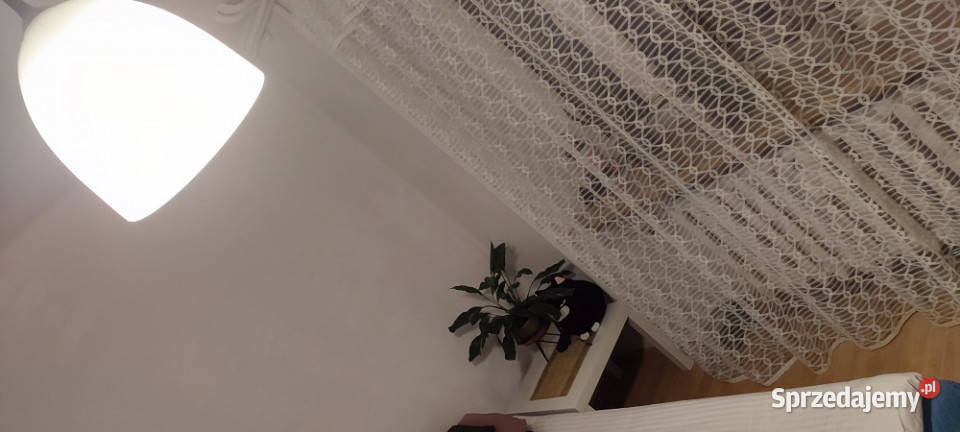 Kawalerka Mazowieckiej w Krakowie Wynajem Kraków