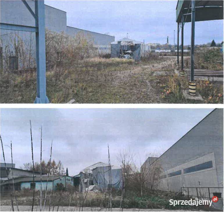 Nieruchomość gruntowa niezabudowana w 563m2 świętokrzyskie Sędziszów sprzedam