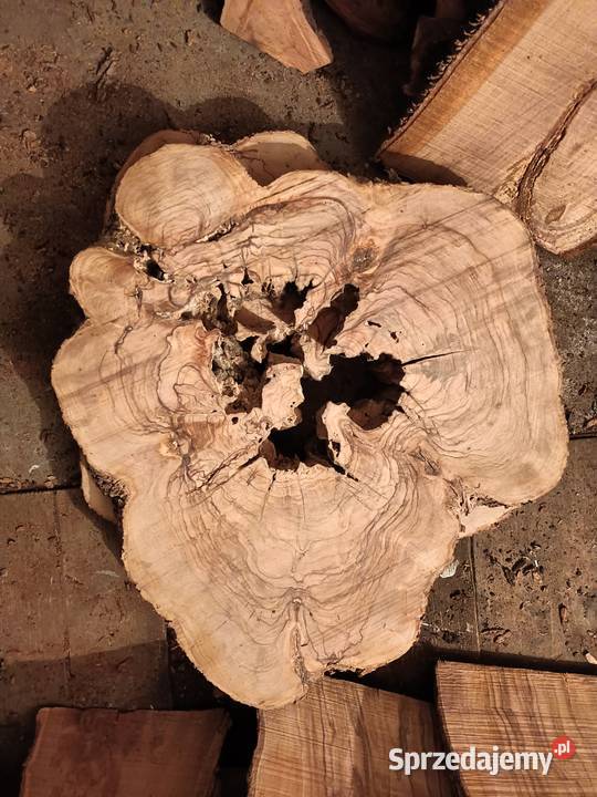 Oliwkadeskiplastry pieńki Pozostałe Mielec