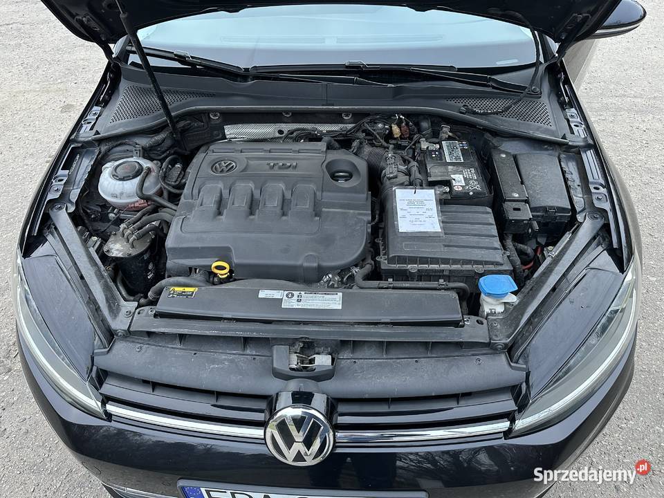 Volkswagen Golf VII 16 Polski Salon ładny nieuszkodzony Pabianice