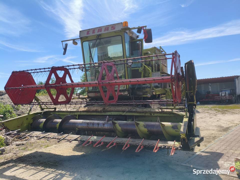 Claas dominator wielkopolskie