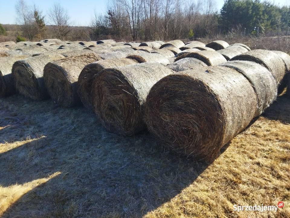 Bele słomy siana Pozostałe podkarpackie Przeworsk